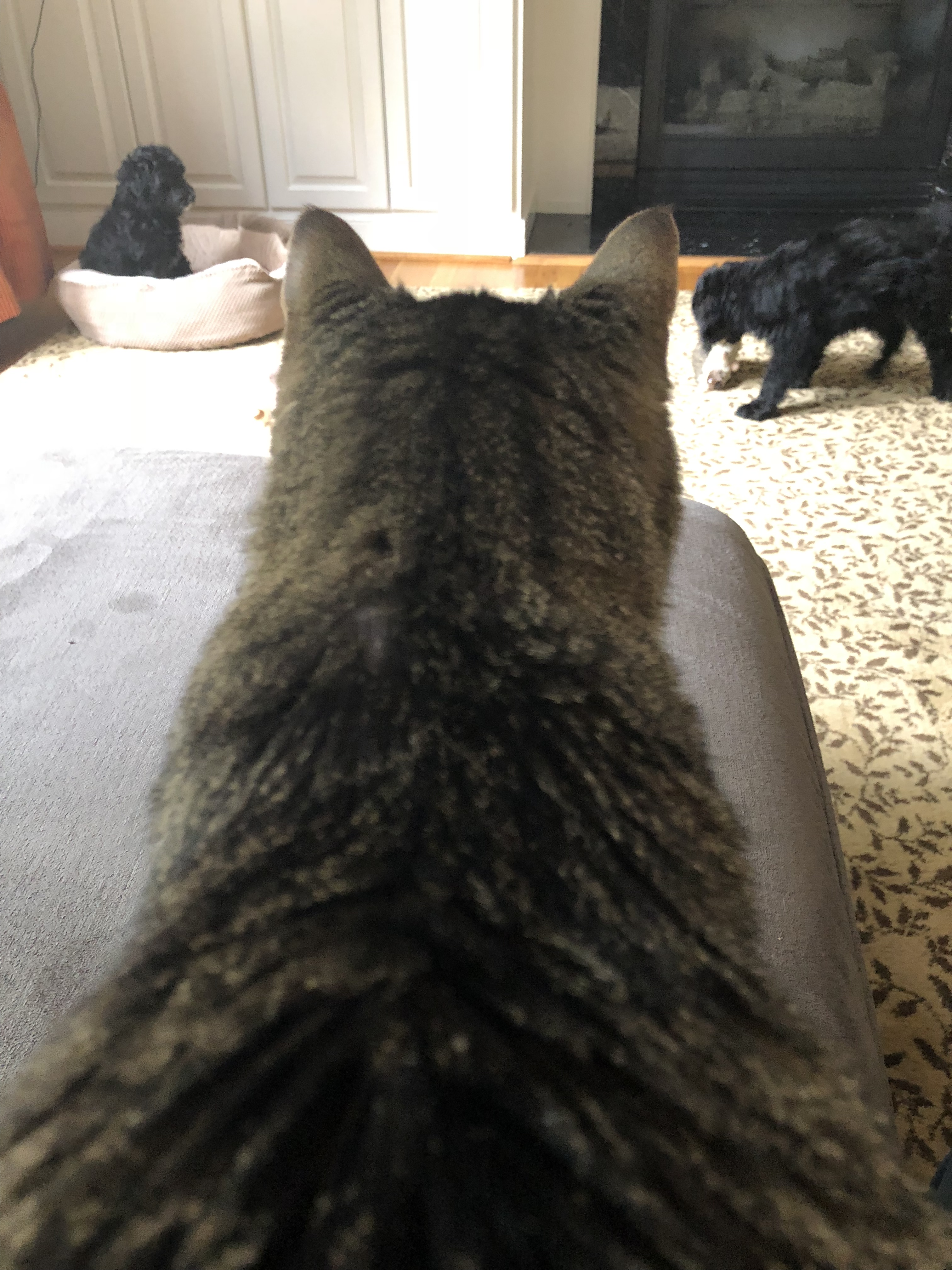 I’ll keep an eye on them.