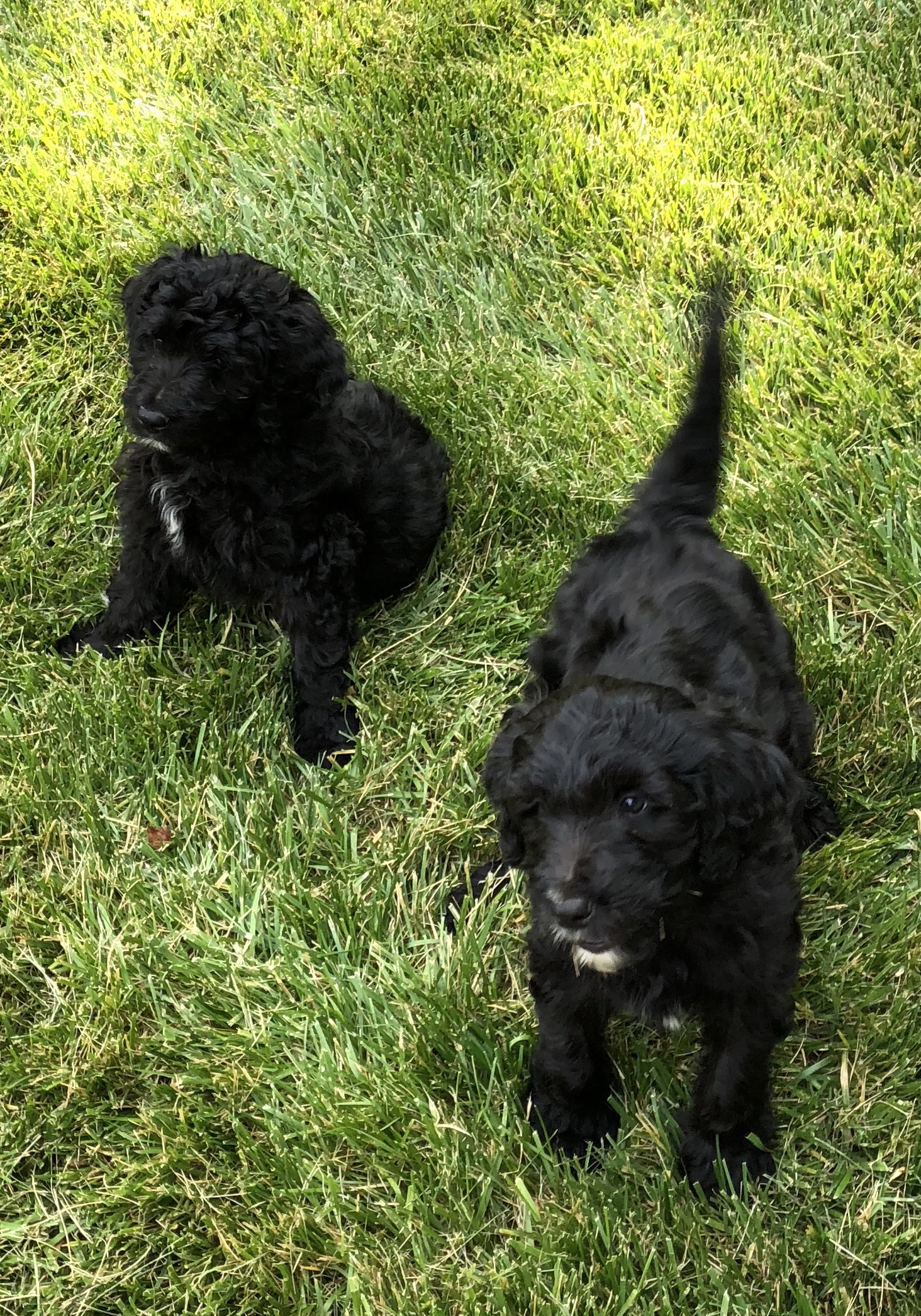 9F6DF262-D3F0-4B11-934E-7808E3AE99BA