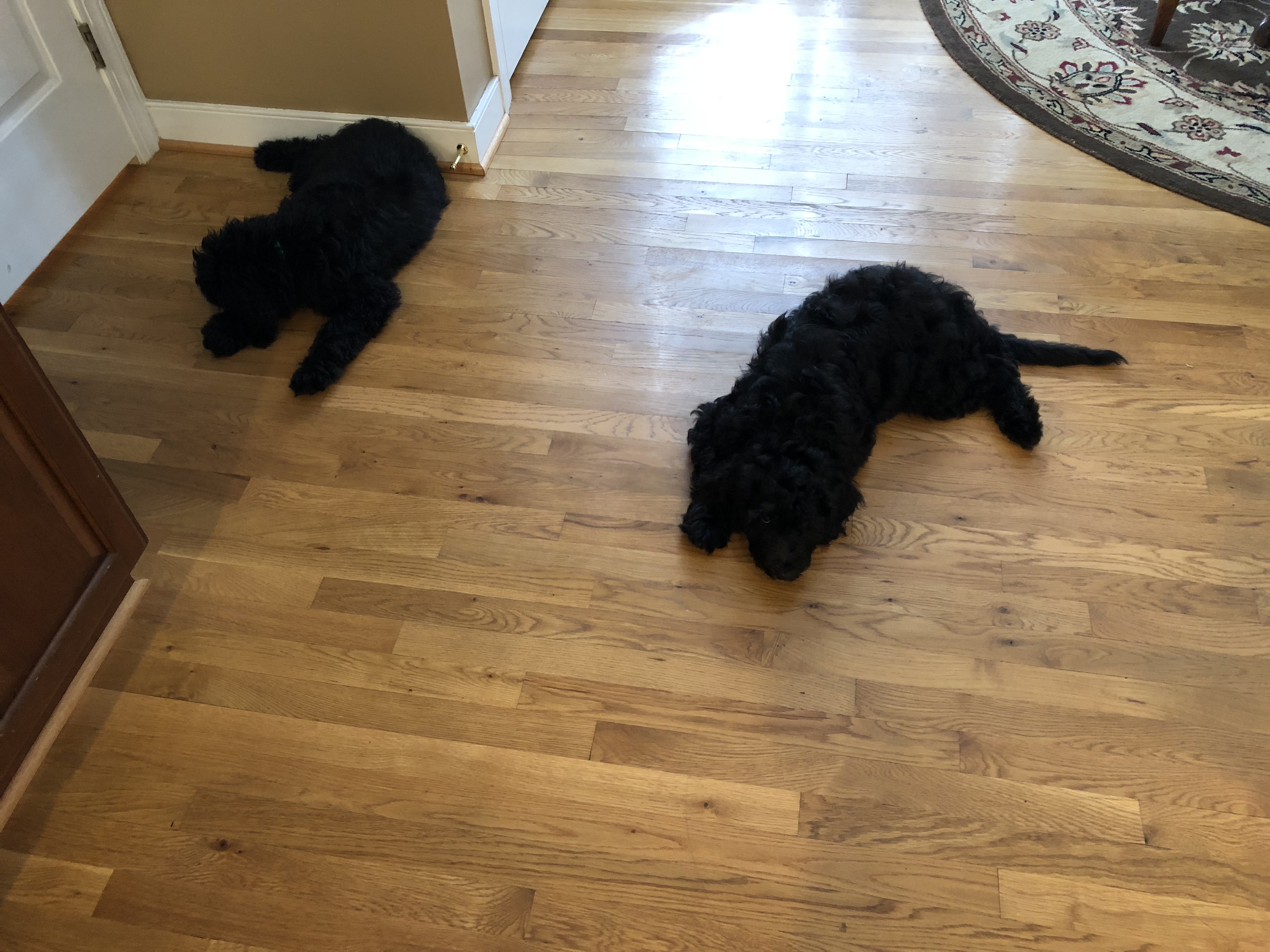 92B62DDA-E2B9-4582-BA66-2BDB2DD9E0EF