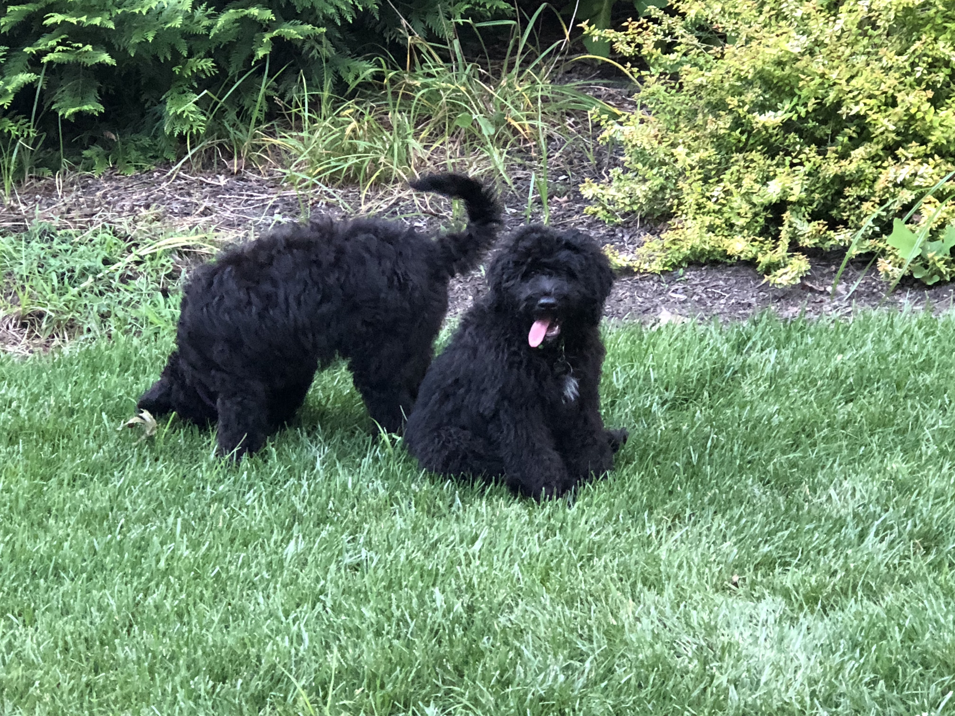 2A957DE8-46B2-4130-82A6-14B2AFBC8669