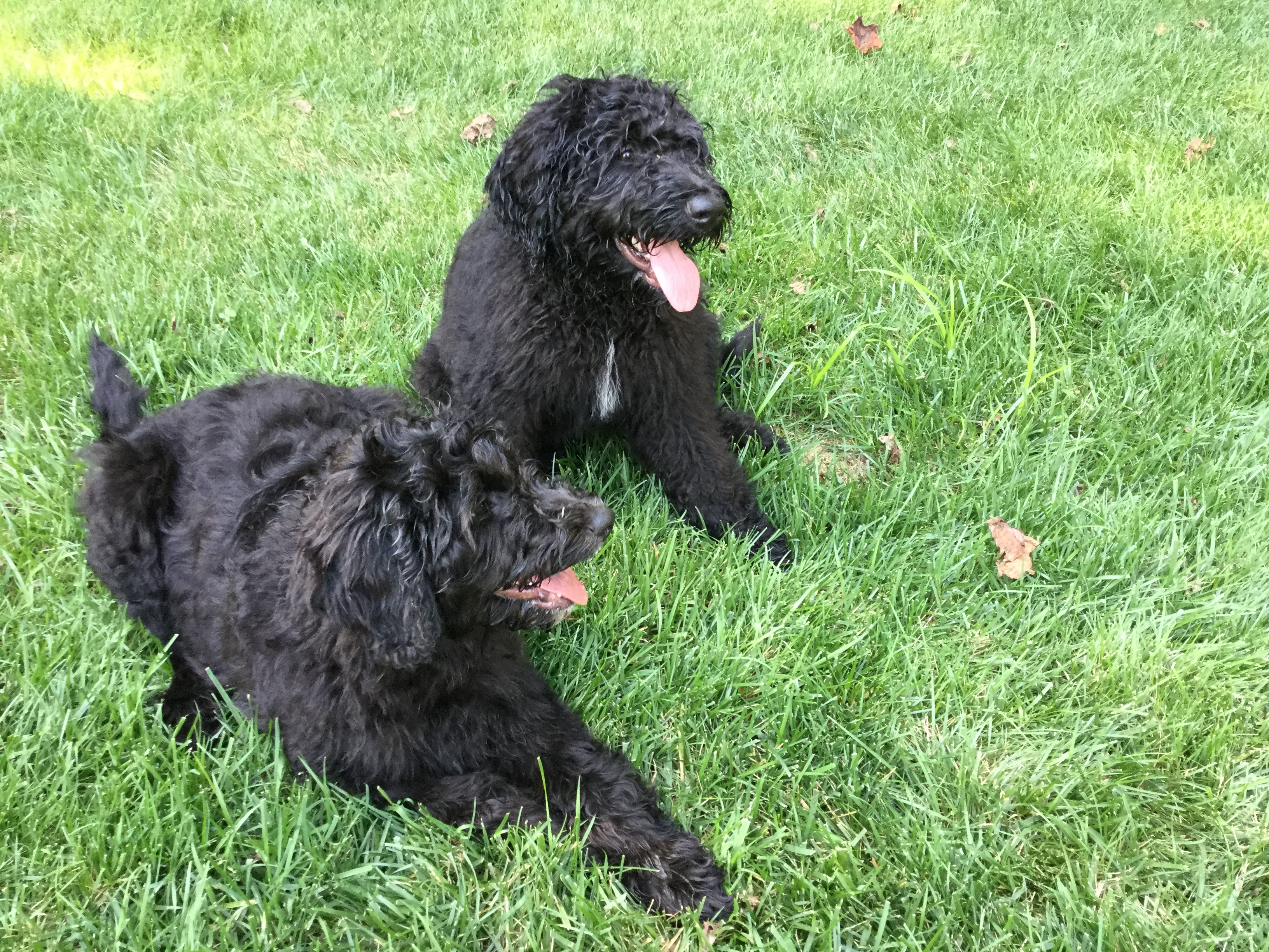 73B2BB32-A1F5-494A-805A-4762CB91EDE6