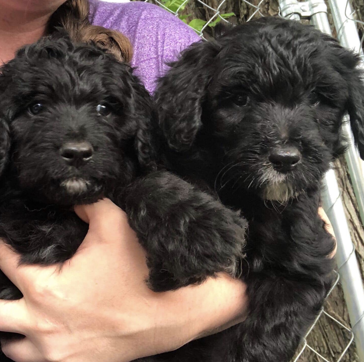 CA70663A-7694-4C3E-ADB1-1D991F105161