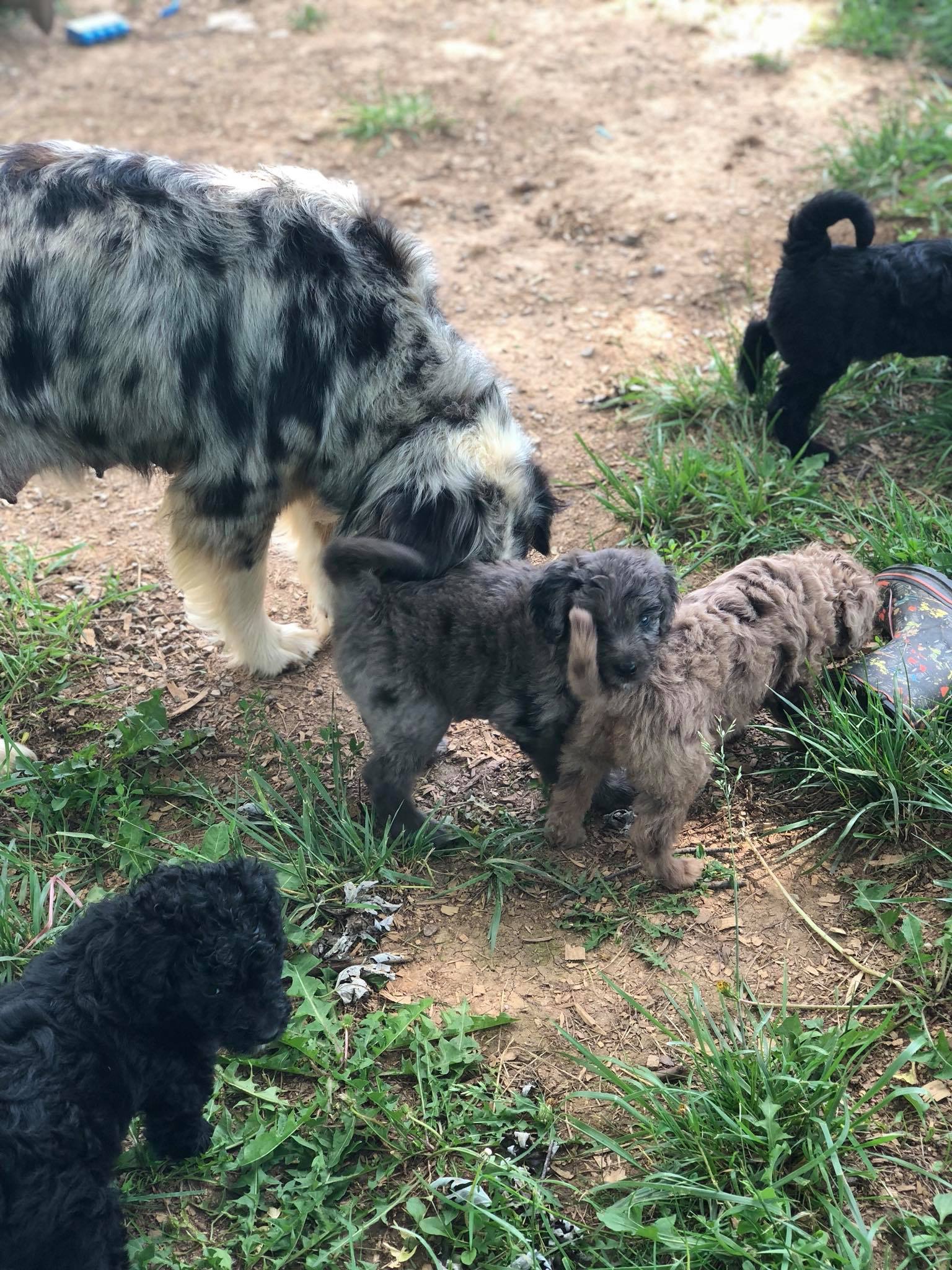 D2310236-2D44-4D61-80AA-E4838942C0FC