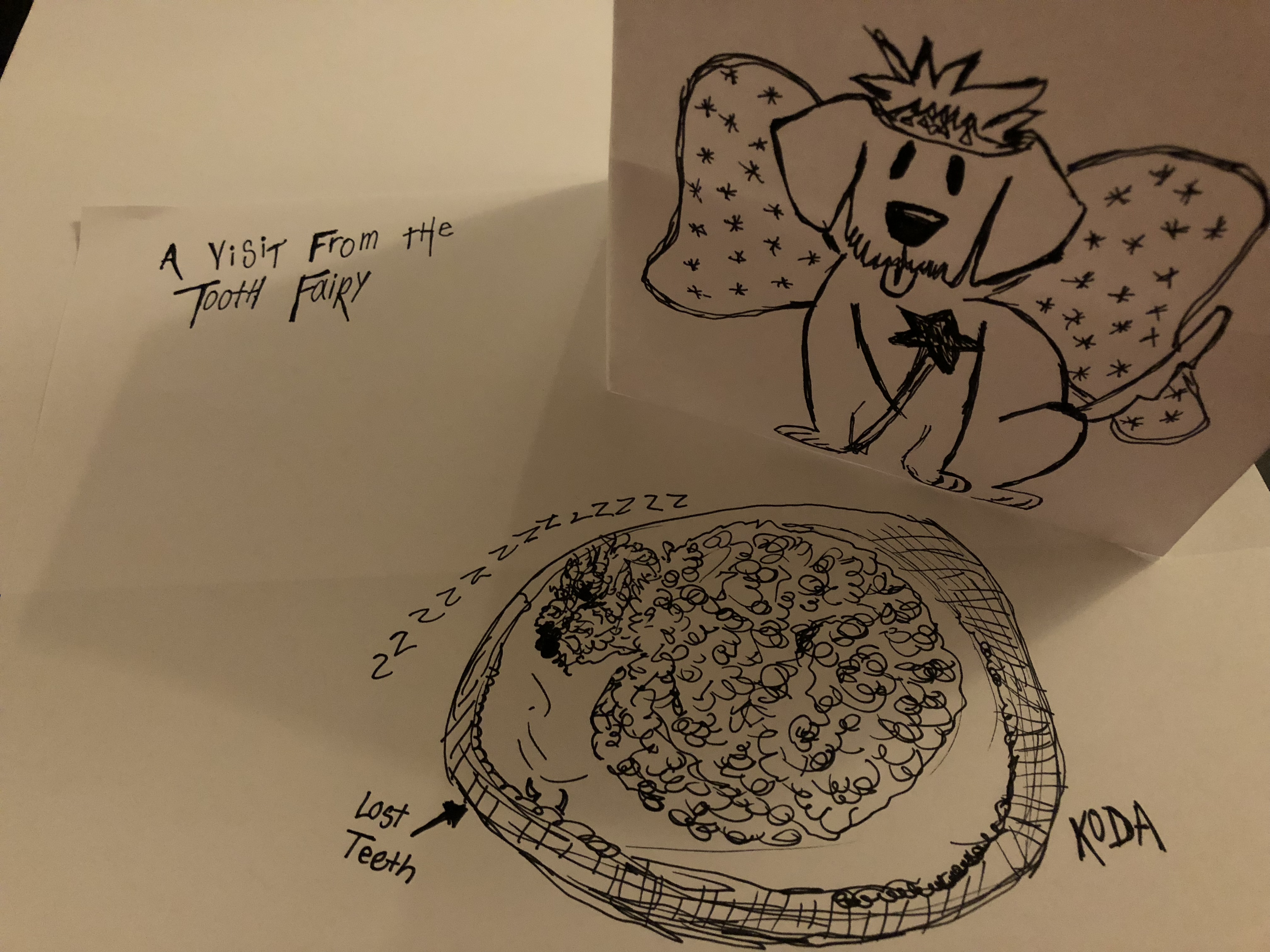 Tooth Fairy visit by GrizzlyBearMa