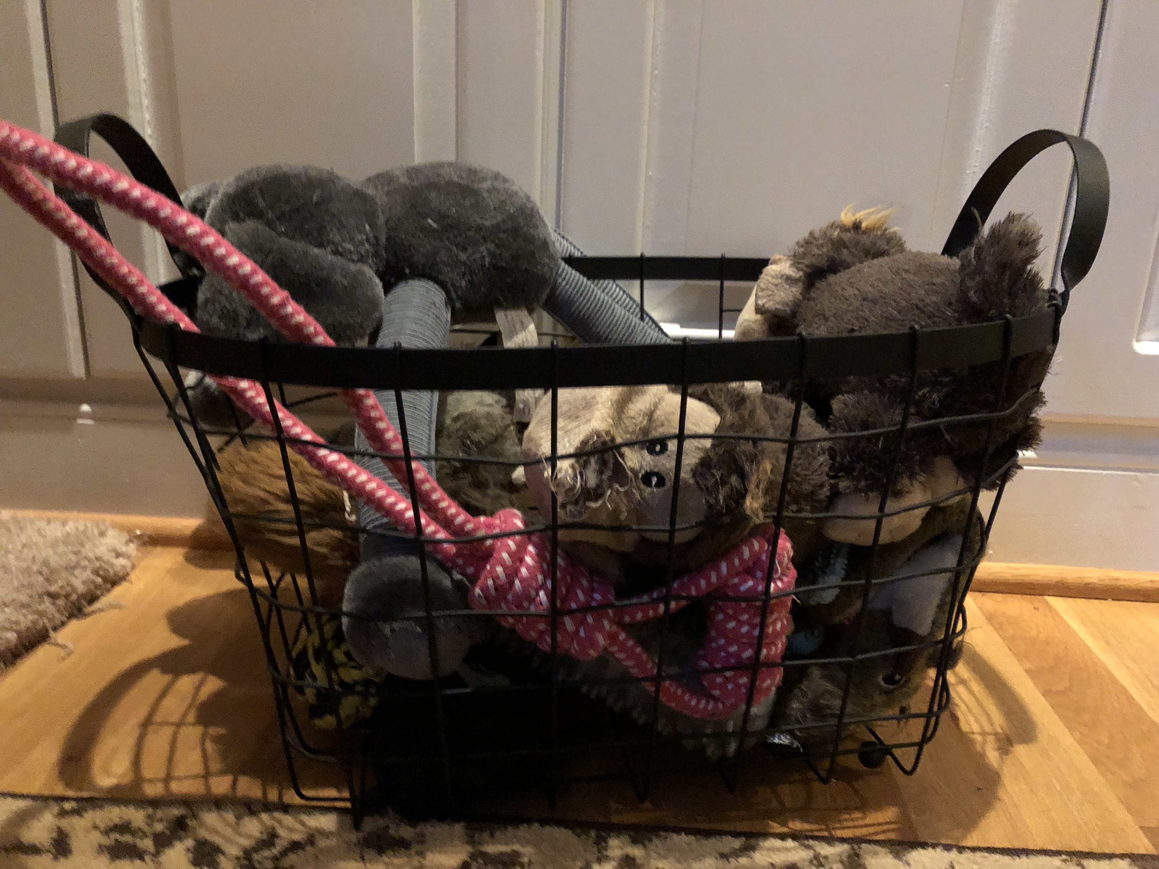 A7CBB79C-BD4C-4E15-BED7-FA1DBC7C4067