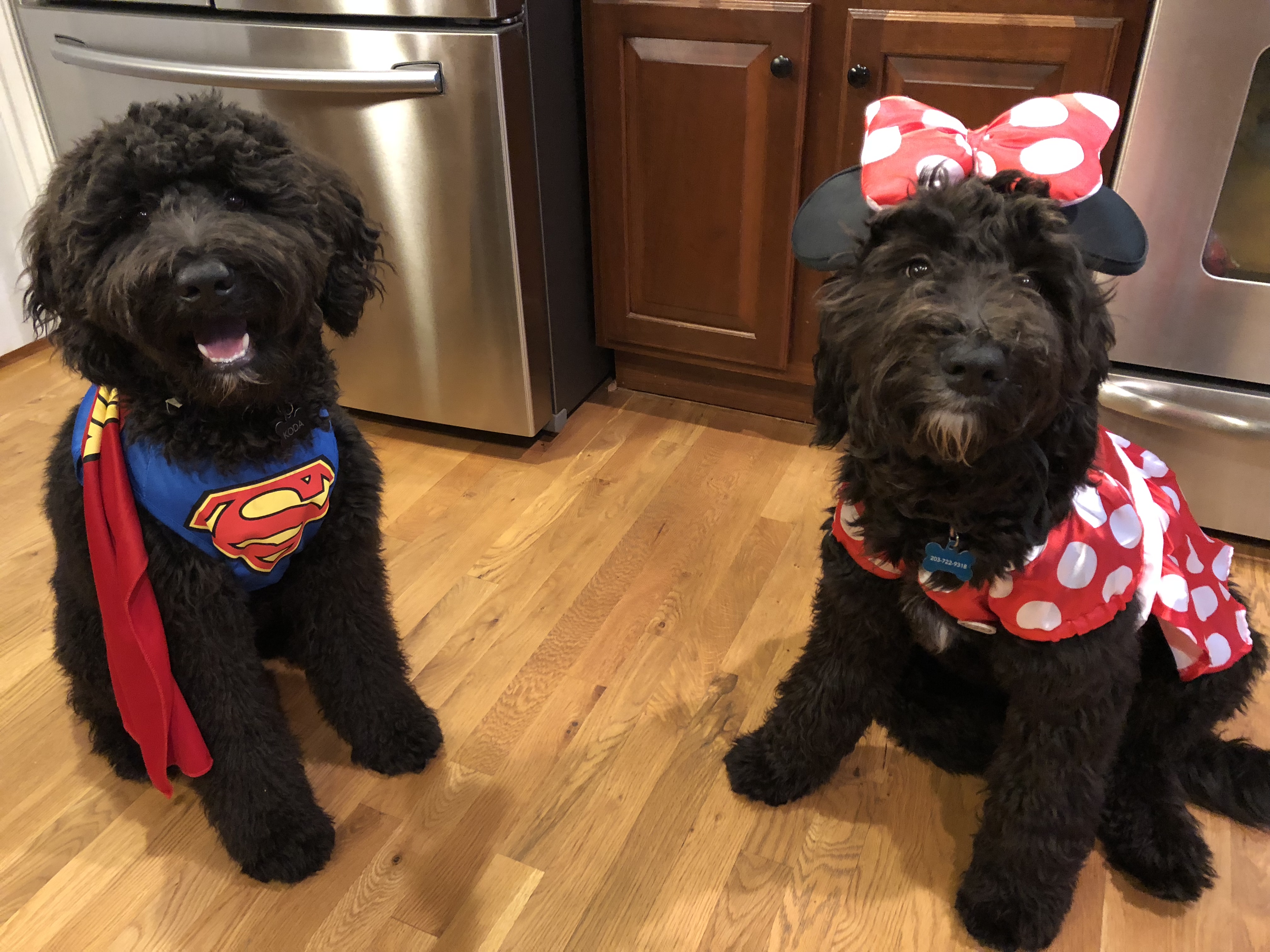 D3B19F8F-FDC1-4248-BB0E-78FBA6A7B923