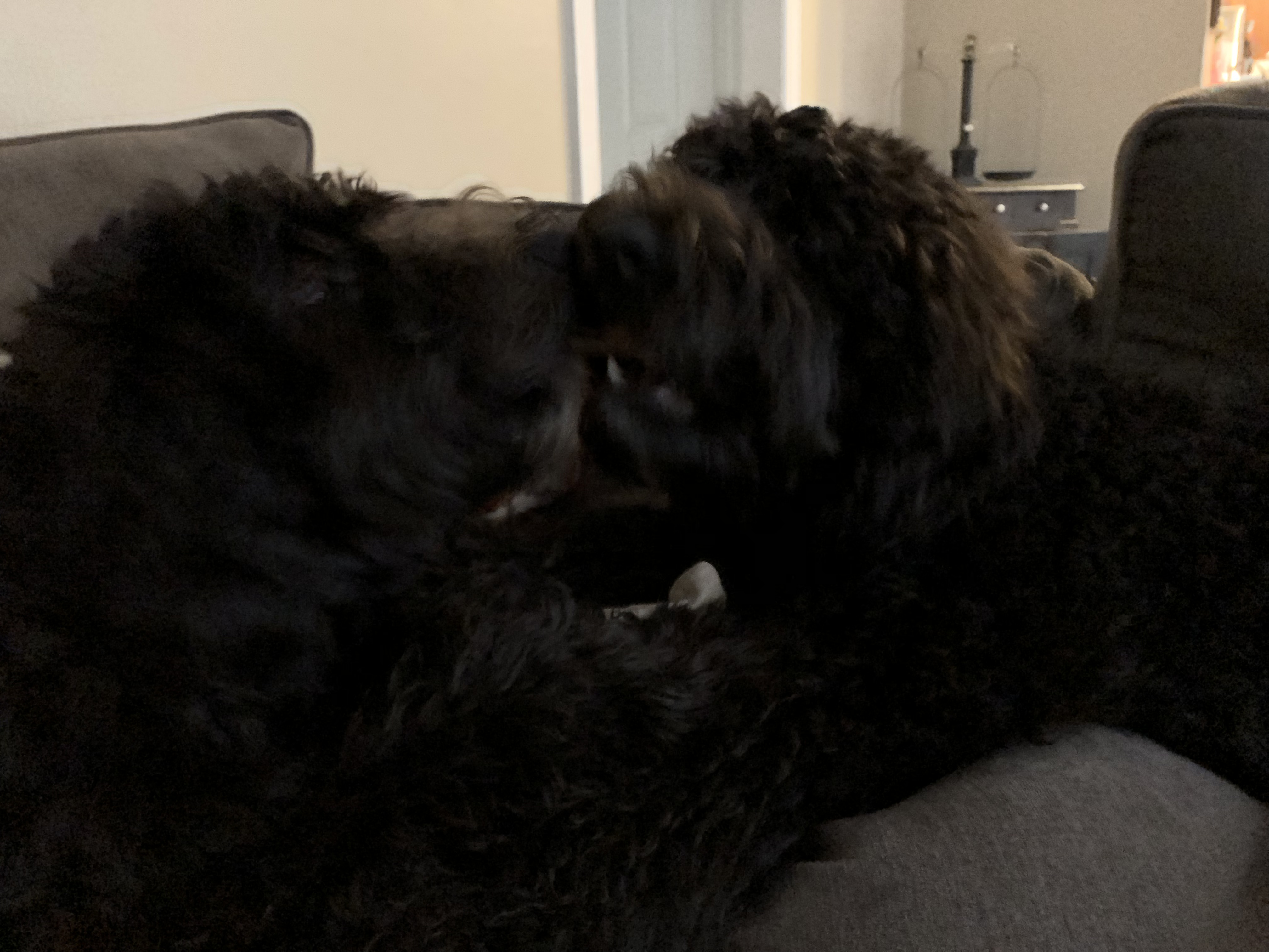 4B23F94A-3511-4ED4-84F8-DEE7AAF1563C