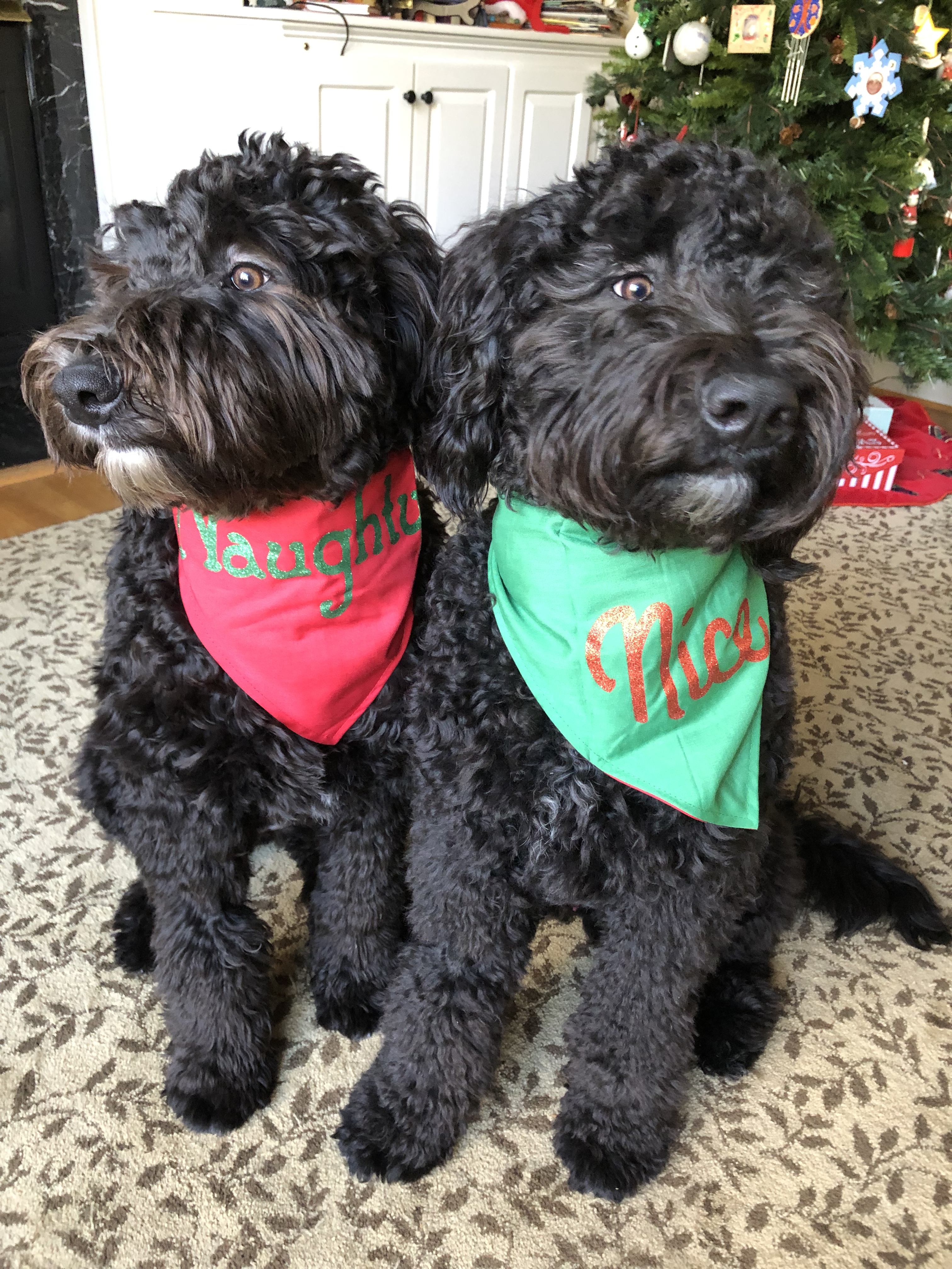 Naughty and nice pic