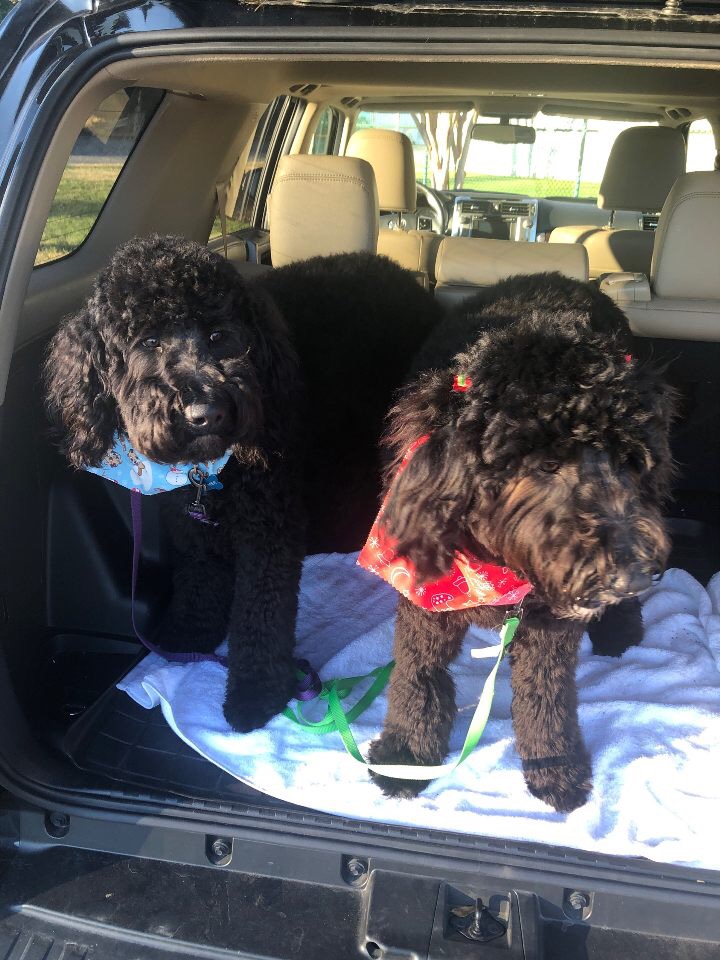 8AD672EC-FAD7-45BF-AA32-5EB3C75A4F83