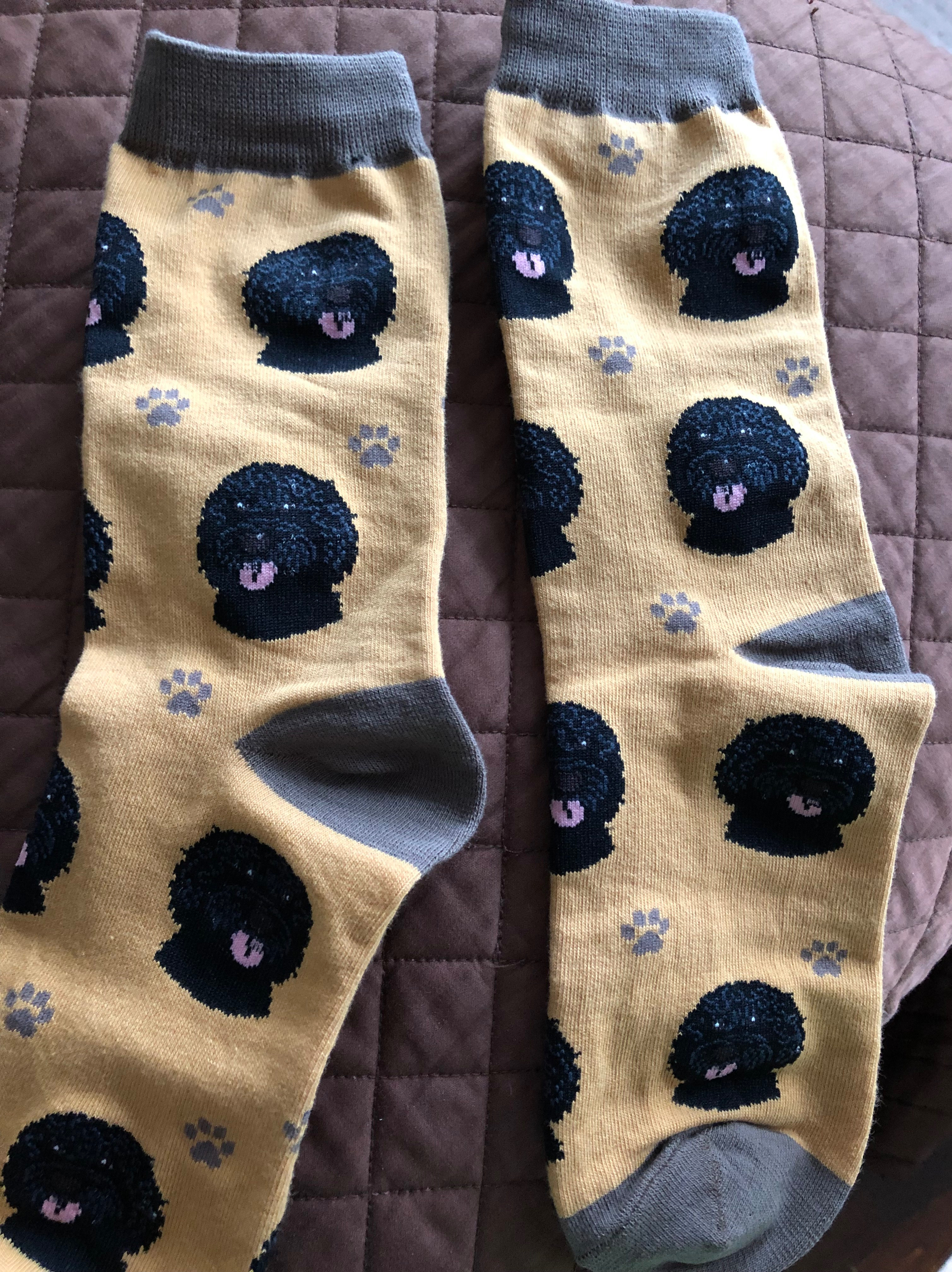 0c785e0e-6dbe-48ef-9977-e2f77d3f2c7e