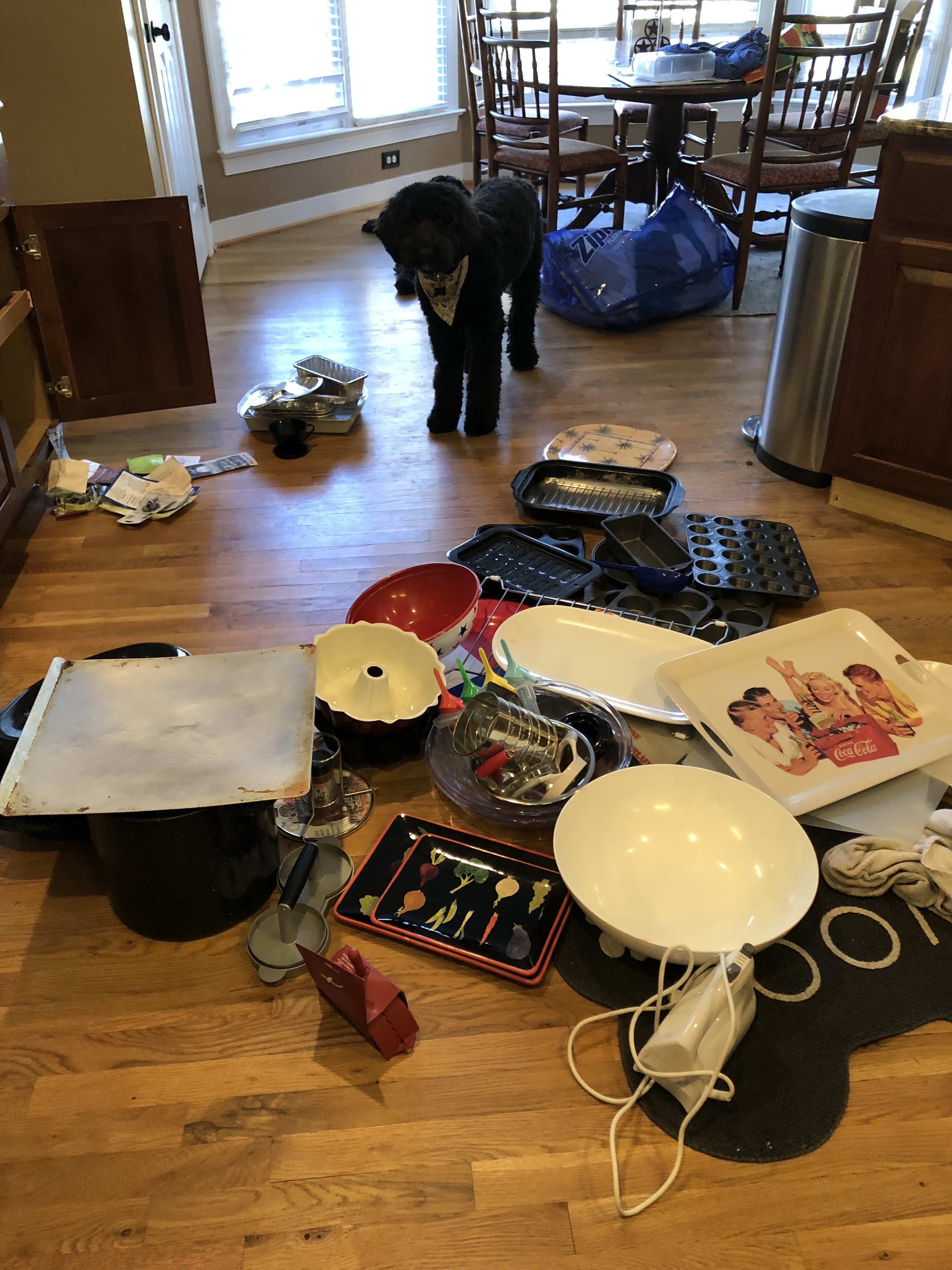 6f772c33-dc11-46c5-8c22-98d949619f58