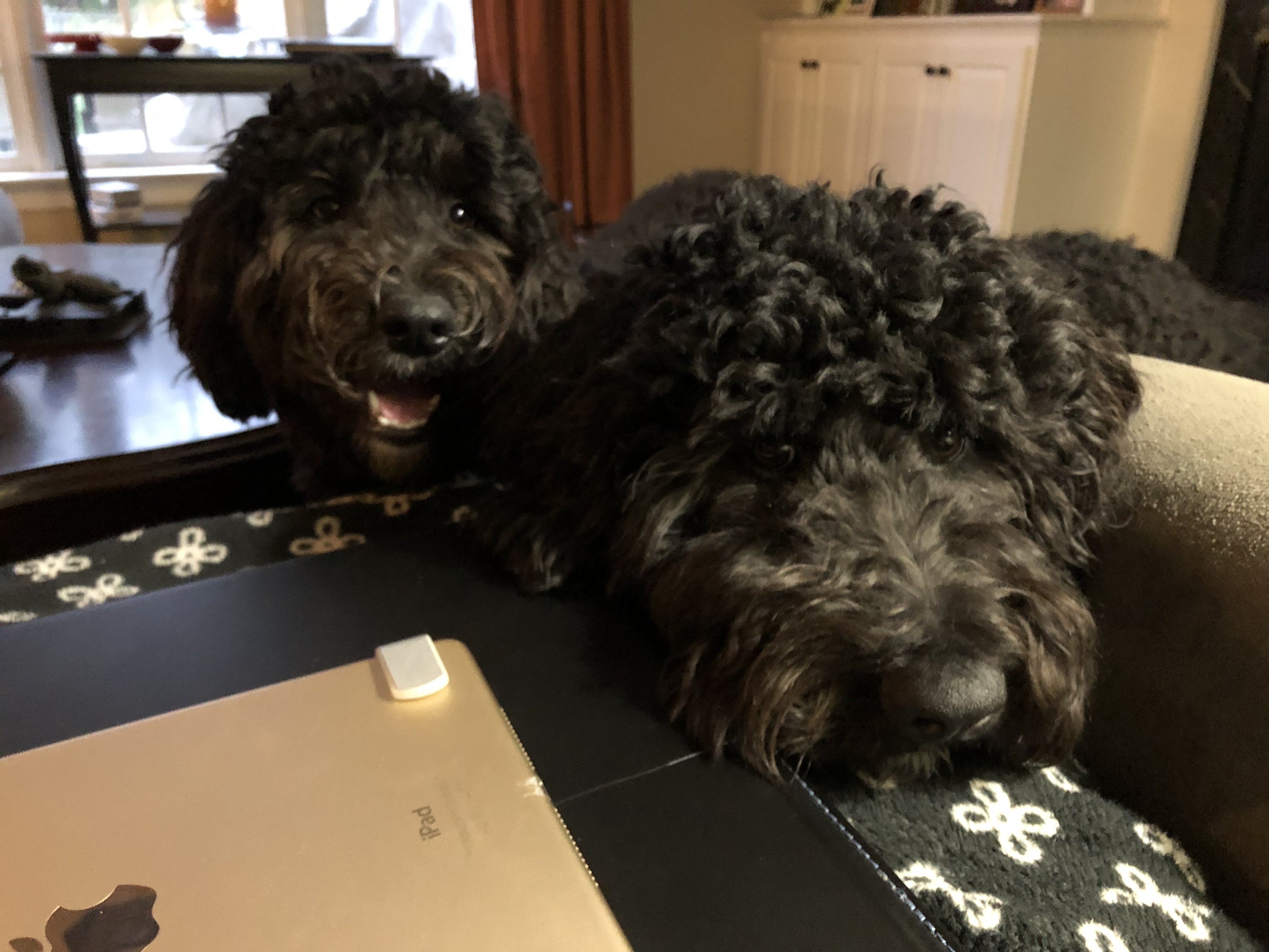 9716D274-0707-4CBB-8A38-7C9FFE4BBEDA