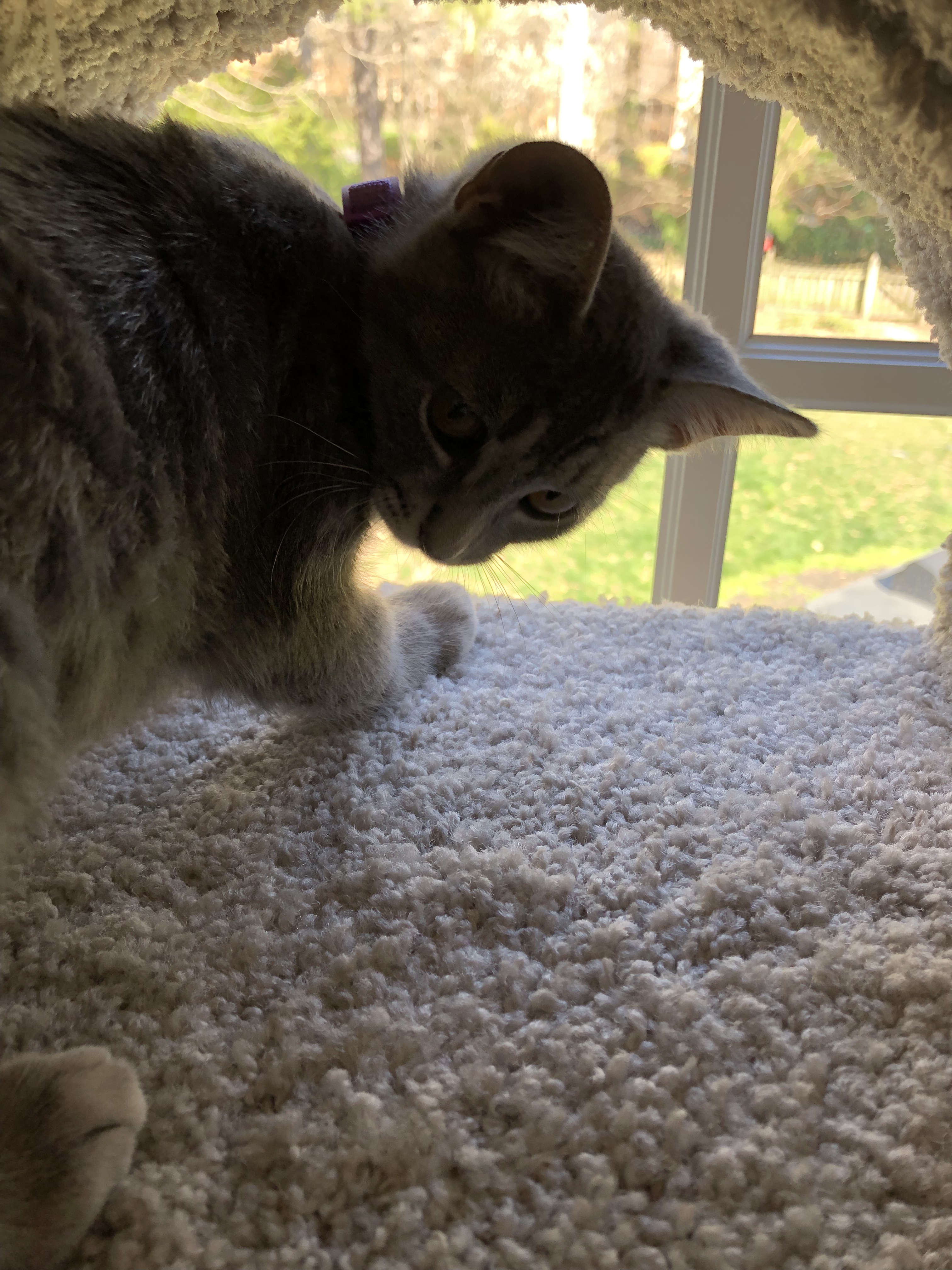 CEAEF489-147B-4572-B957-060585C940CE